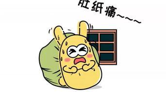 2020吃瓜群众,吃瓜群众的年度盛宴