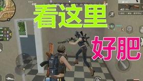 cf媛崽吃瓜,揭秘娱乐圈背后的那些事儿