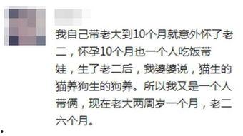 观众吃瓜全文,揭秘娱乐圈幕后真相