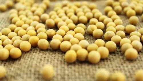 小黄豆骂吃瓜,揭开网络舆论背后的真相