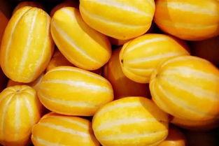 田瓜吃包子中毒,一场意外的中毒事件