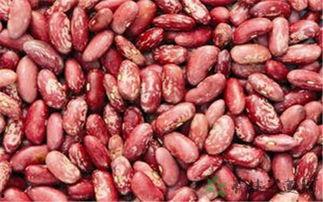 酚酞瓜吃花花,探寻植物界的奇妙化学反应