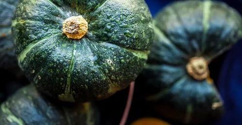 吃小瓜胖不,吃瓜也能变胖？揭秘小瓜热量与体重管理