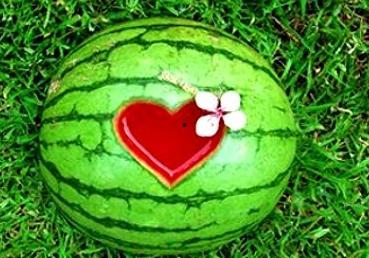 梦见摘瓜的人吃瓜,摘瓜食瓜，揭秘梦境中的瓜果寓意