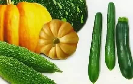 吃芽芽有啥瓜,揭秘芽菜与美味瓜果的奇妙邂逅