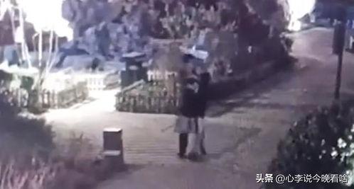 广州恐怖的吃瓜视频,揭秘网络恐怖视频背后的真相