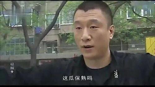 吃瓜哥的视频,一场视觉盛宴背后的故事